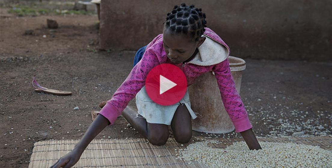 Mozambique proyectos