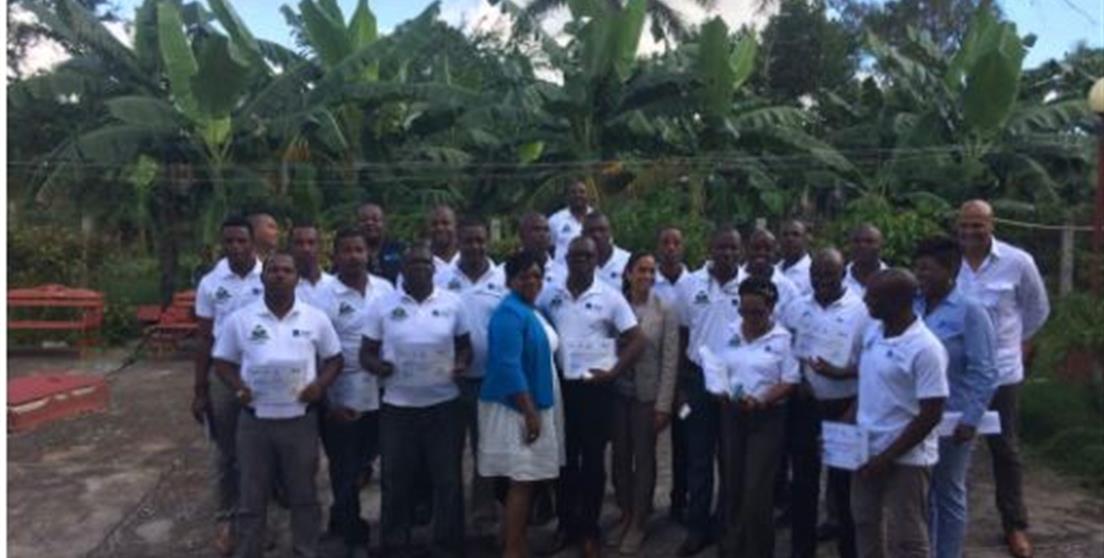 Técnicos haitianos en Cuba