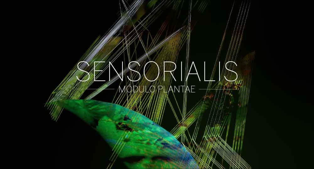 SENSORIALIS