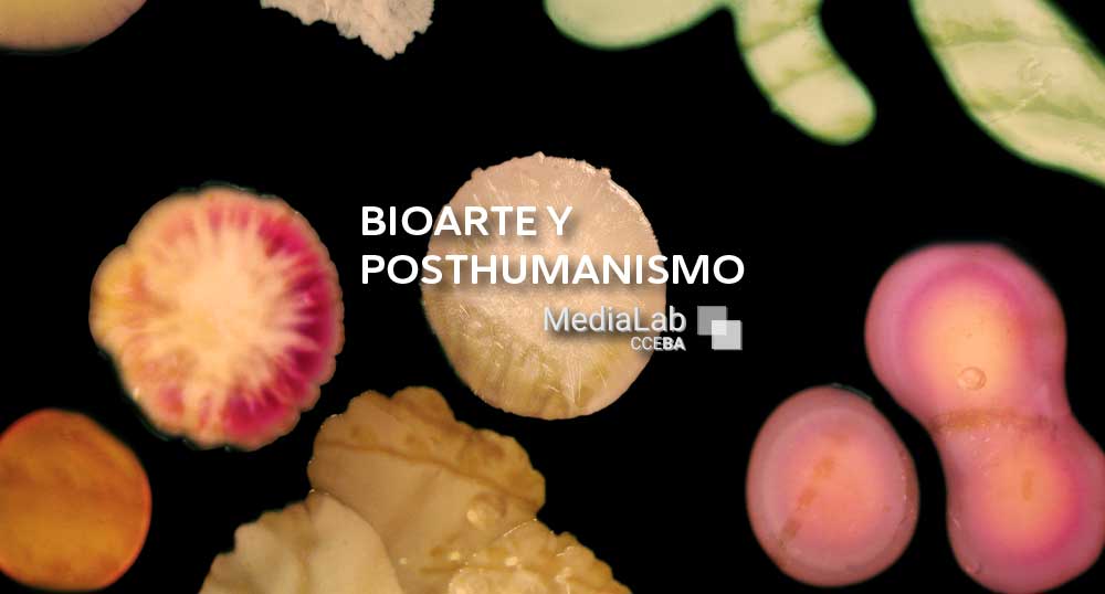 Bioarte y posthumanismo