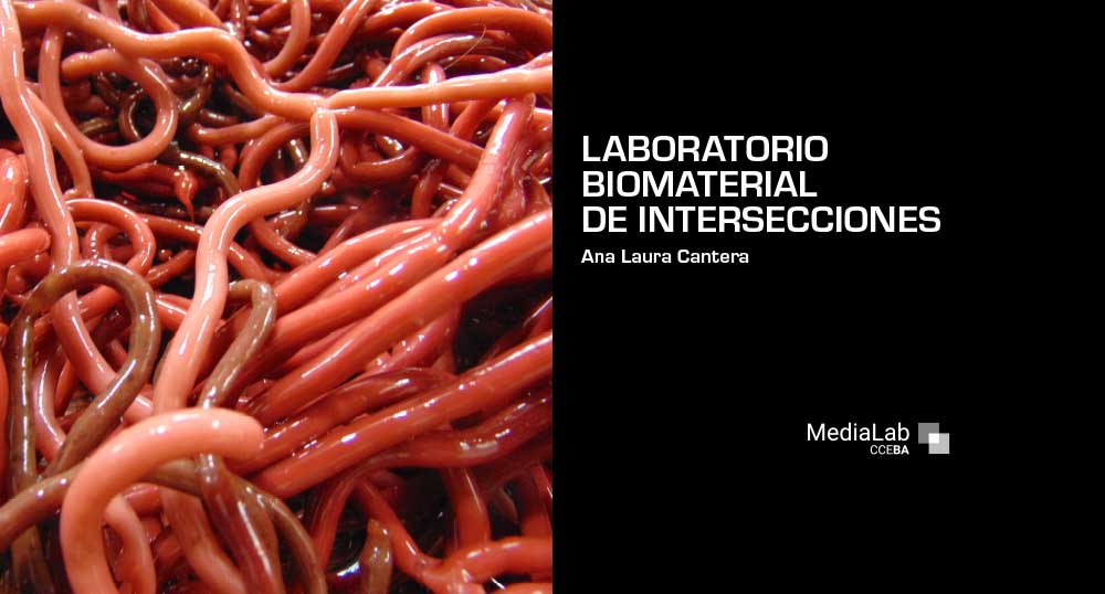 Laboratorio biomaterial de intersecciones