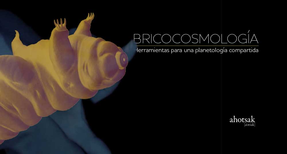 Bricocosmologa