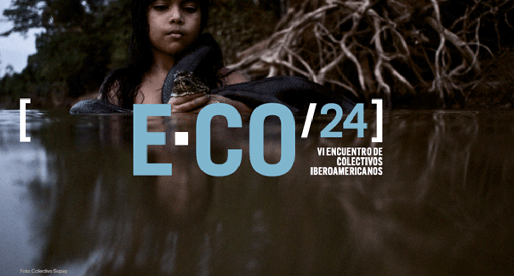 ECO24