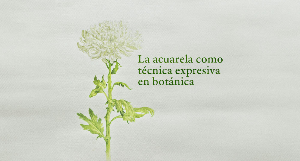 La acuarela como tcnica expresiva en botnica