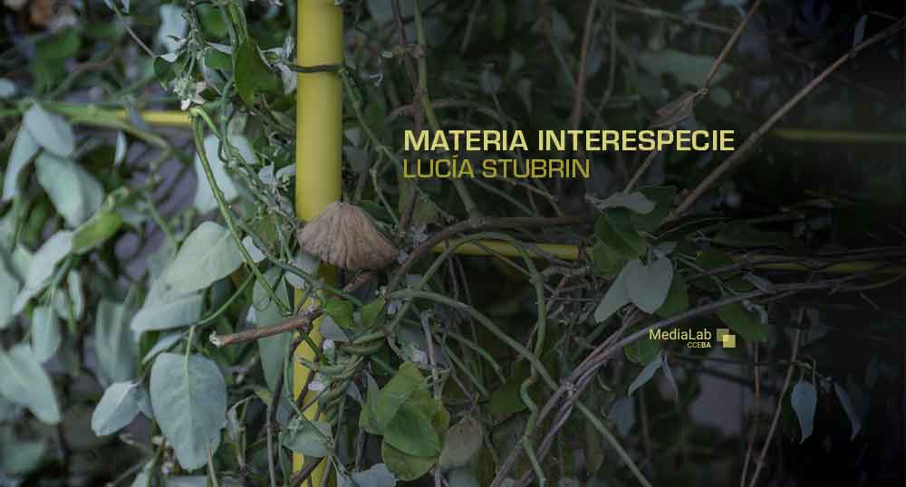 Materia interespecie