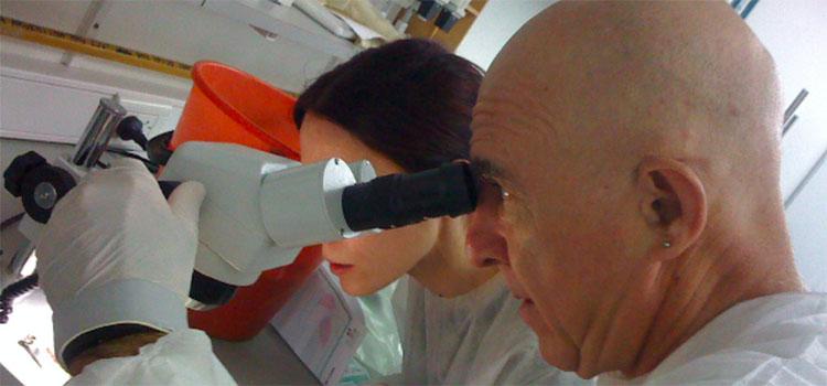 Bioarte Taller de Joaqun Fargas