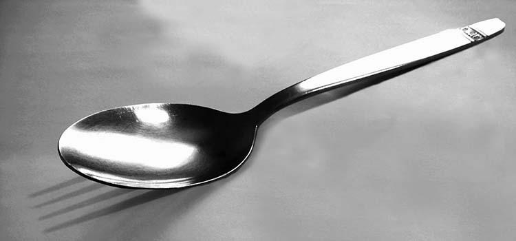 Mara Negroni habla de un poema de HA Murena