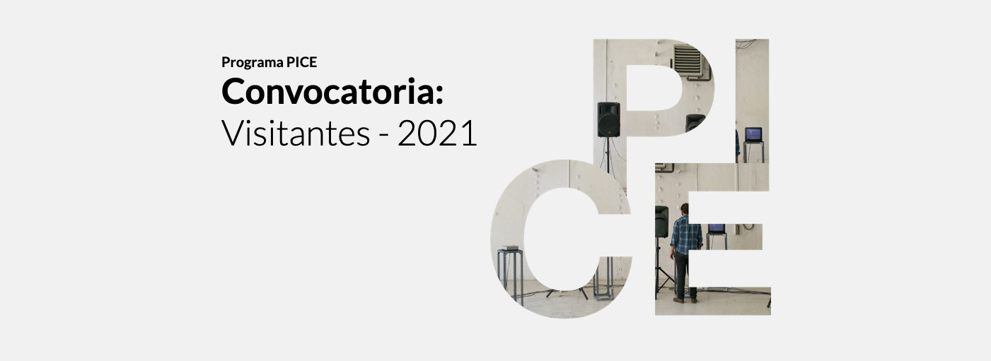 PICE Visitantes 2021