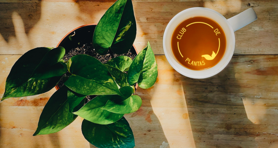 Club de plantas