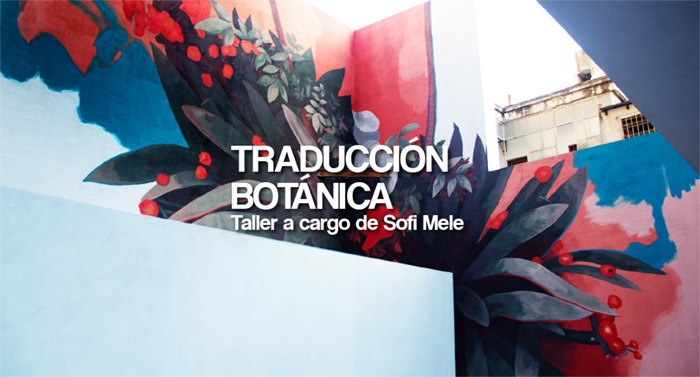 Traduccin botnica Observacin y formas posibles de representar las plantas