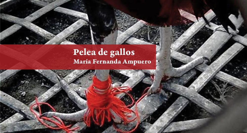 Elles cuentan Iberoamrica