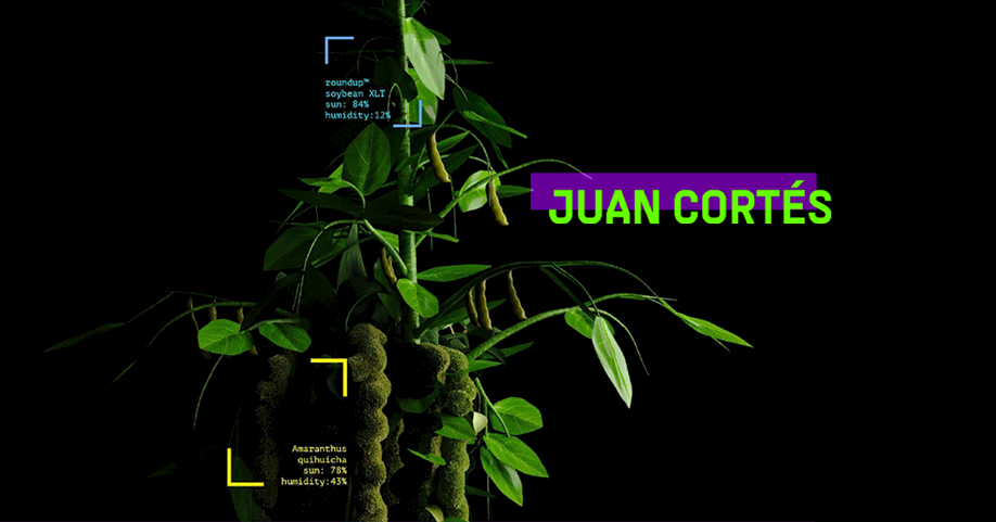 Juan Cortés en Presente continuo: 'Masterclass: sobre las políticas vegetales'