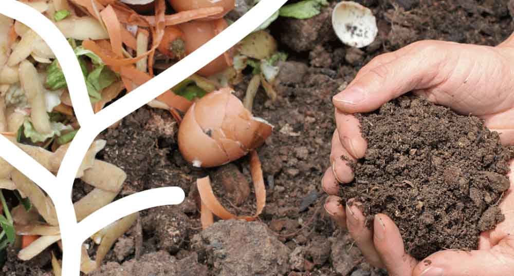 Cmo saber si est listo nuestro compost