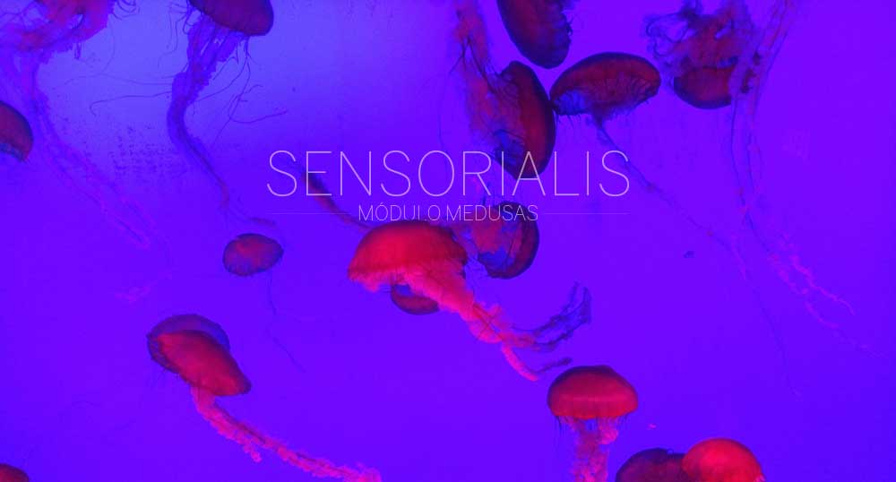 SENSORIALIS
