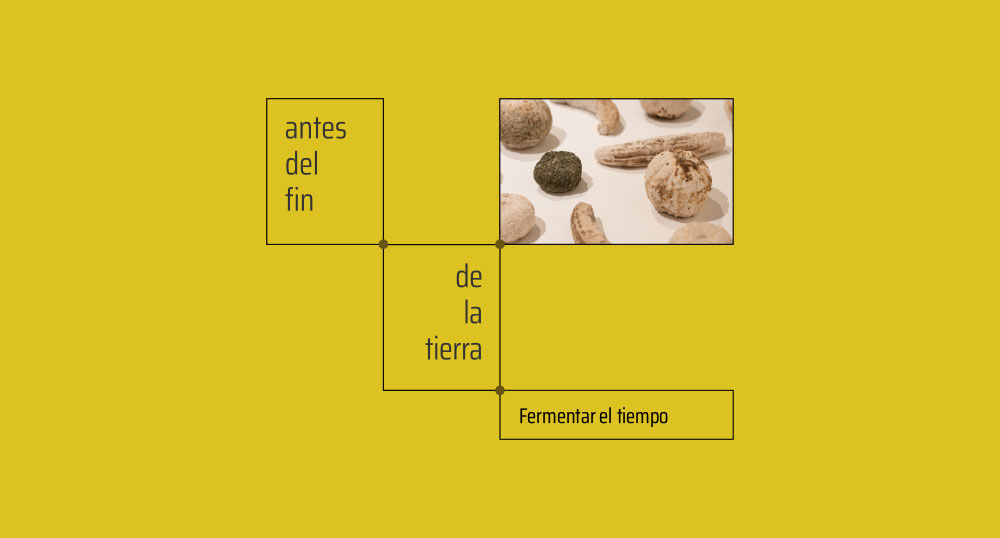 Fermentar el tiempo taller de fermentacin de alimentos