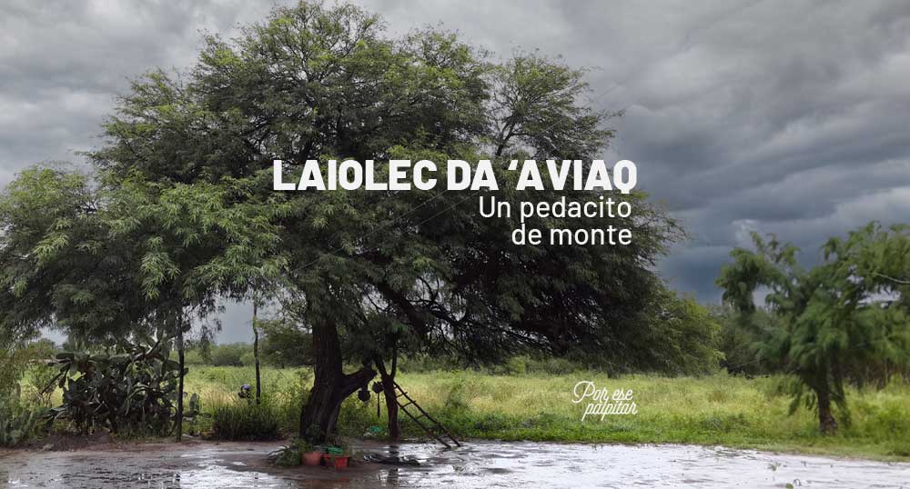 Laiolec da aviaq Un pedacito de monte