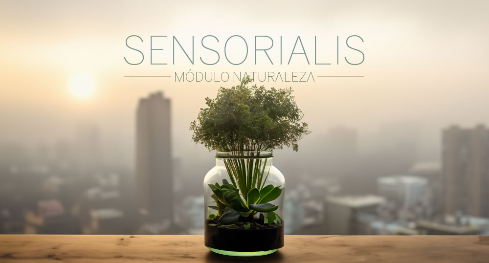 SENSORIALIS Naturaleza