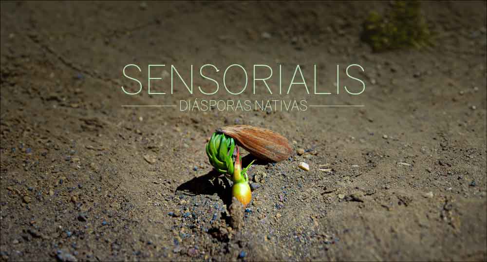 SENSORIALIS
