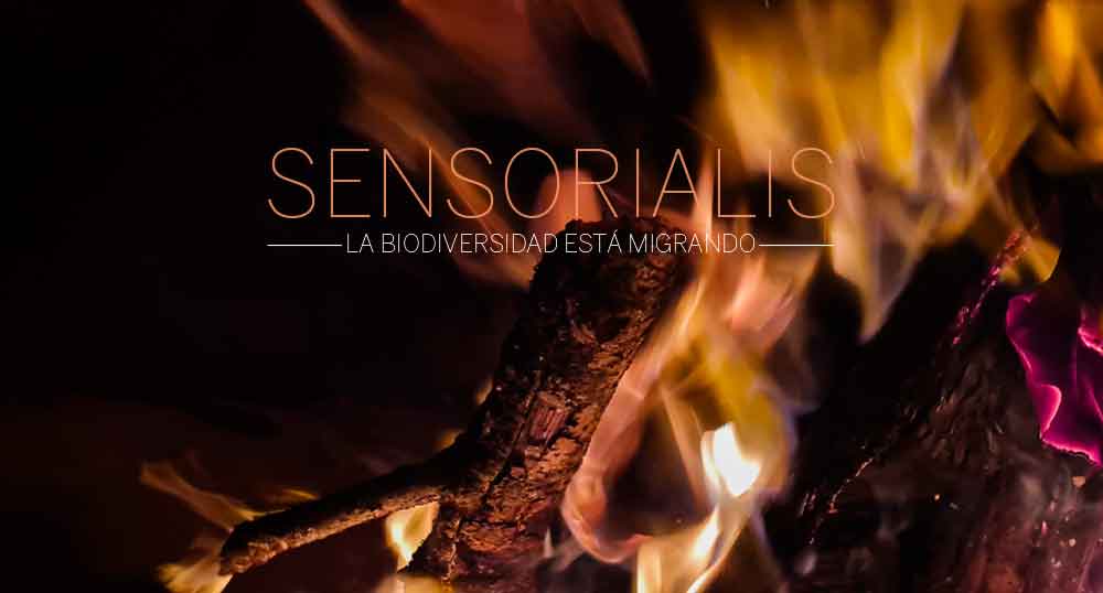 SENSORIALIS