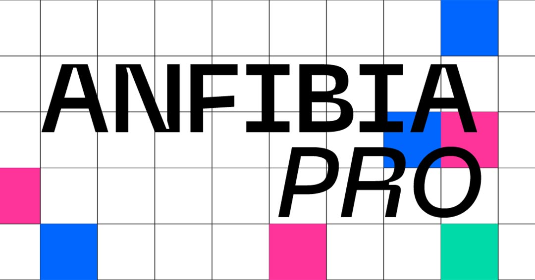 Anfibia Pro Buenos Aires